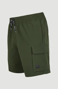 All Day 17'' Hybrid Short | Forest Night
