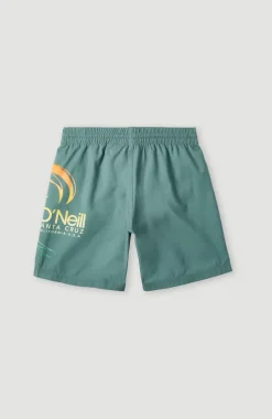 Circle Surfer 14" Zwemshort | North Atlantic Circle Surfer Gradient