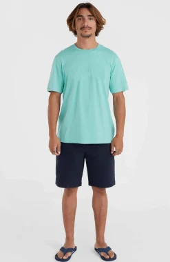 Essentials Chinoshort | Outer Space