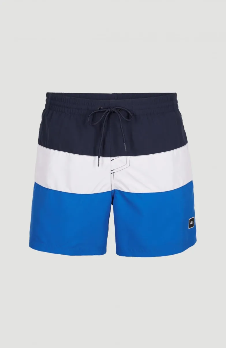 Frame Block Swim Short | Blue Multi 9