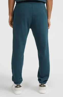 Future Surf Society Joggingbroek | Alma Steel