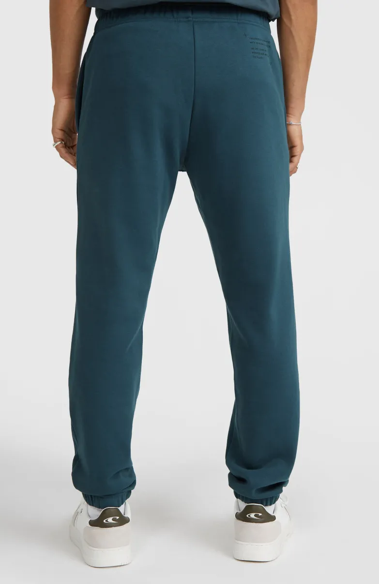 Future Surf Society Joggingbroek | Alma Steel