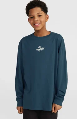 Graphic Shirt Met Lange Mouwen | Alma Steel