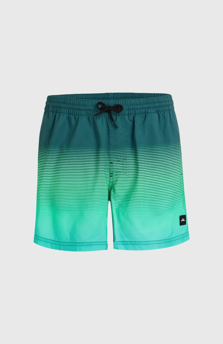 Jack O'Neill Cali Gradient 15" Zwembroek | Beetle Juice Simple Gradient Panel
