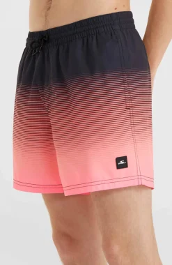 Jack O'Neill Cali Gradient 15