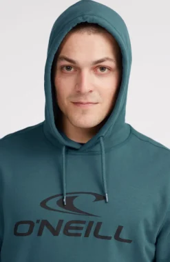 Logo Hoodie | Alma Steel