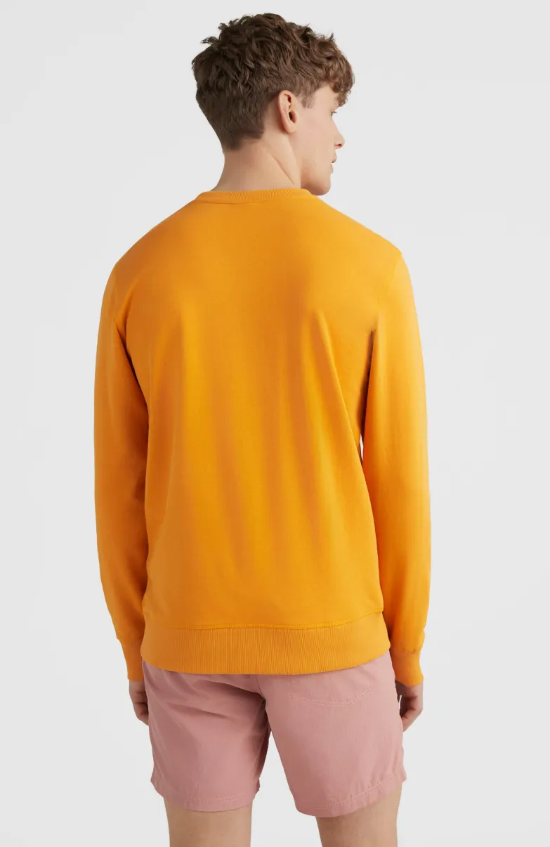 O'Neill Logo Crew Sweater | Nugget