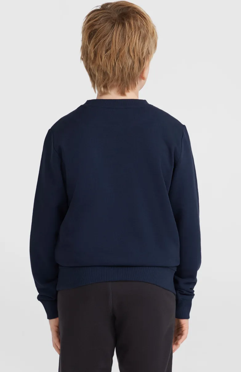 O'Neill Logo Crew Sweater | Ink Blue