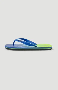 Slippers Profile Gradient | Dark Blue Simple Gradient