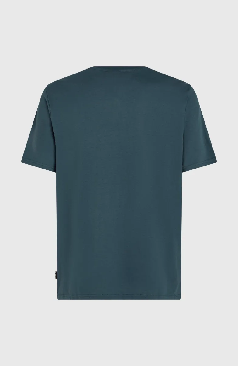 Small Chest Print T-shirt | Alma Steel