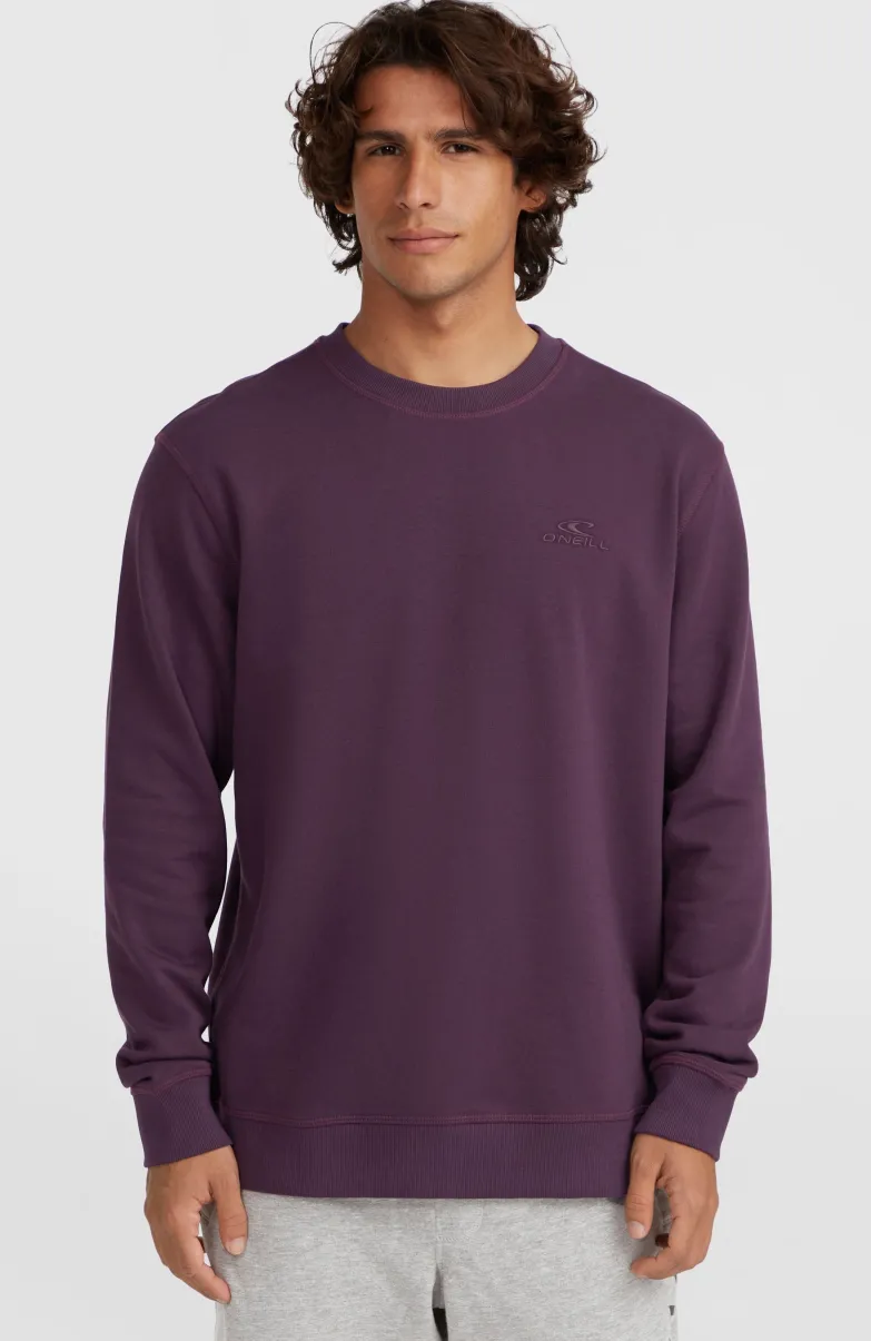 Small Logo Crew Sweater | Aubergine