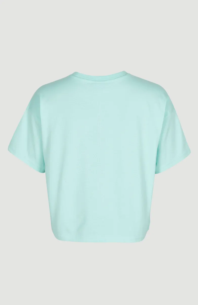 Stream T-shirt | Beach Glass