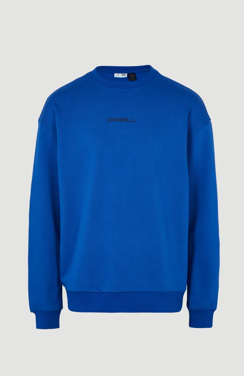Sweater Future Surf Society | Surf The Web Blue