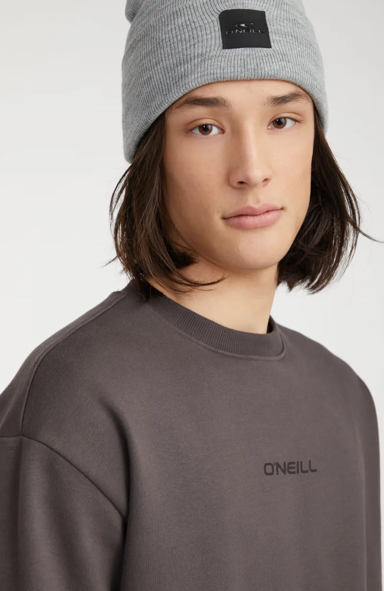 Sweater Future Surf Society | Raven