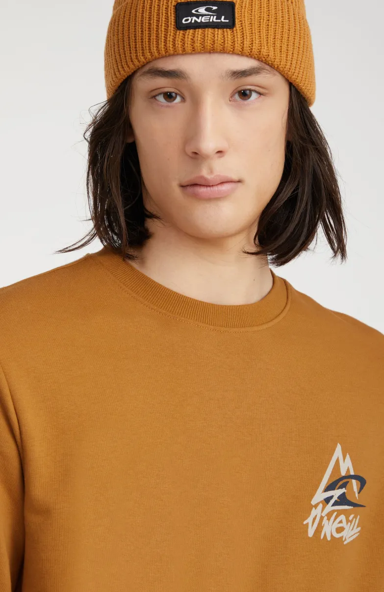 Sweater Torrey Crew | Rich Caramel
