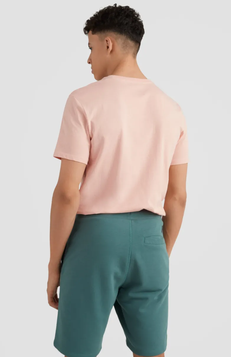 Sweatshort O'Neill Logo | Sea Pine