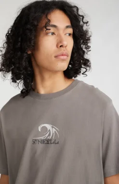 T-shirt Dipsea | Flint Stone