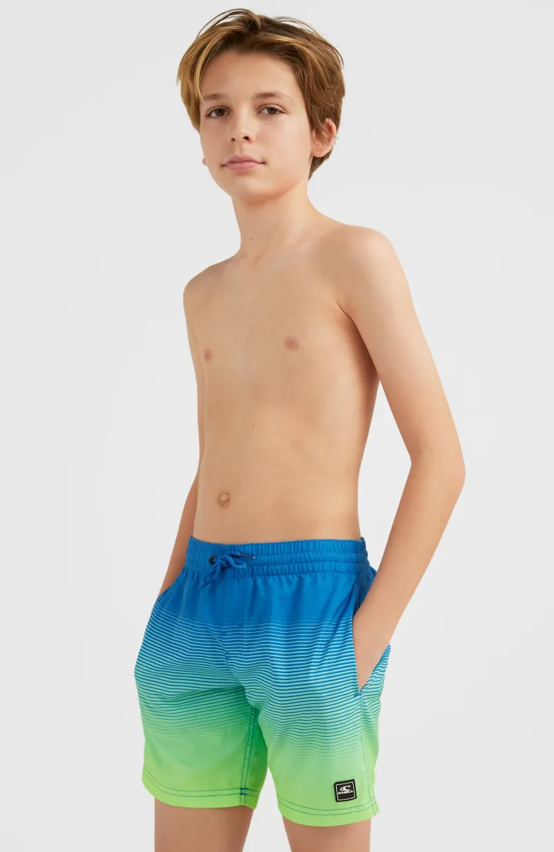 Zwemshort Cali Gradient 14'' | Dark Blue Simple Gradient